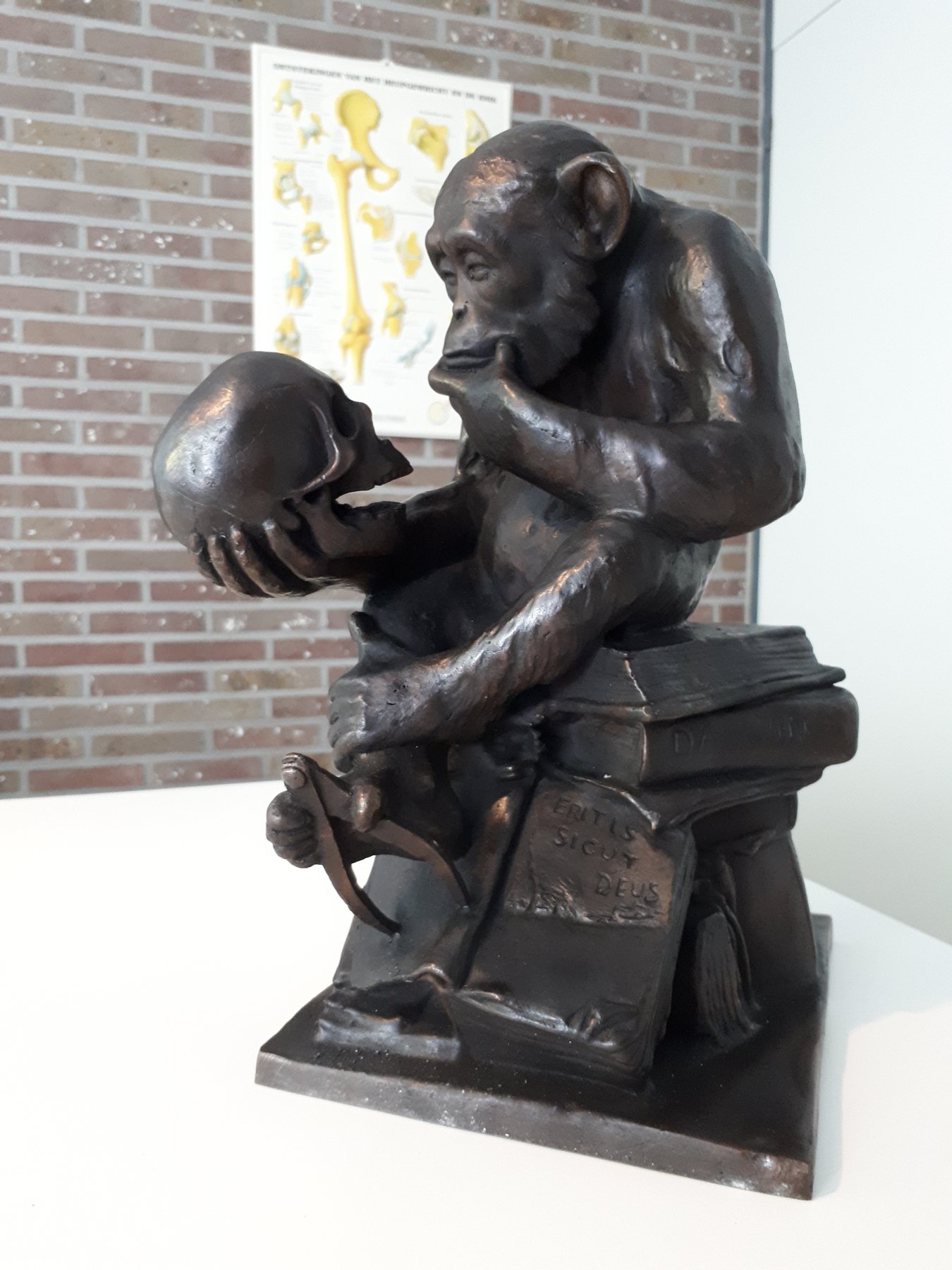 Photograph of Affe mit Schädel in an owner’s collection